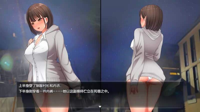 PC推荐[爆款RPG女主露出步兵】夜行Night官中步兵补丁+全CG+DLC [2+1.2G][百度盘]