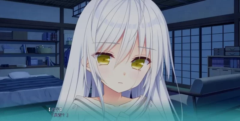 [恋爱ADV/官中/后宫/PC]恋爱成双  官方中文版 [1+3.73G][百度盘]