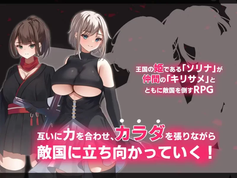 [PC/RPG/AI汉化]绝路双姬：公国陷落篇 [1+3.19G][百度盘]