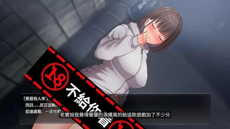 [互动SLG/中文/步兵/PC]夜行Night St roll STEAM官方中文版+步兵DLC整合 [1+850m][百度盘]