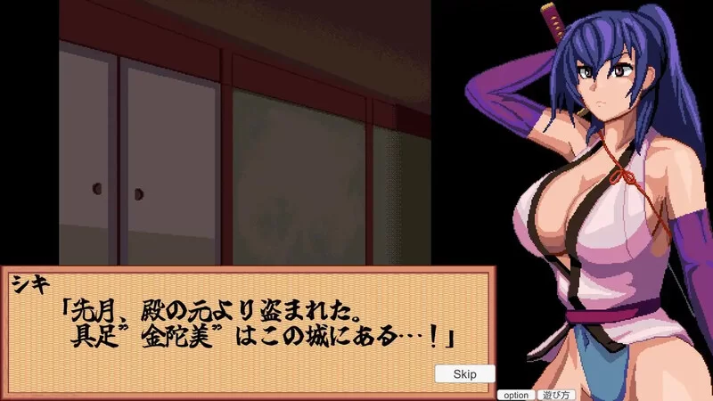 PC-SLG 桌游/战斗H/像素全动态 出击!特搜隐密女忍V1.0 机翻汉化 [1+600MB][百度盘]