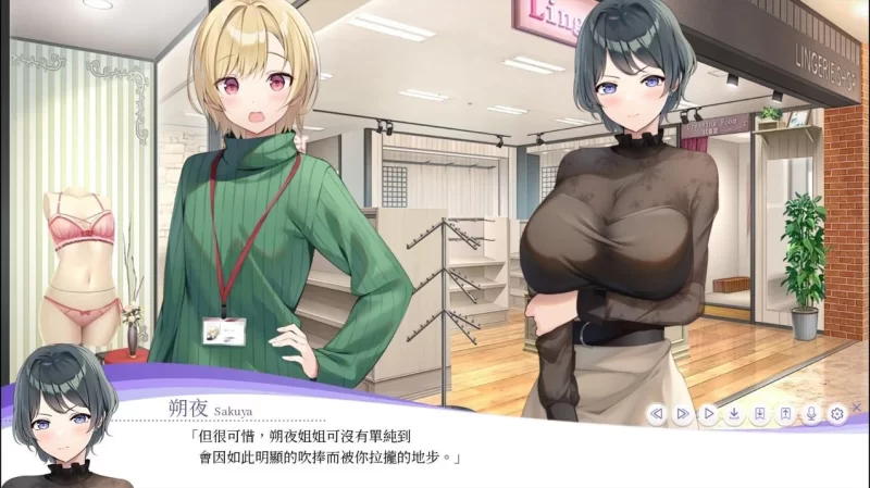 1.22+DLC[PC/佳作拔作/后宫/官中/动态]女士内衣店模拟器 LingerieS [1+2.97G][百度盘]
