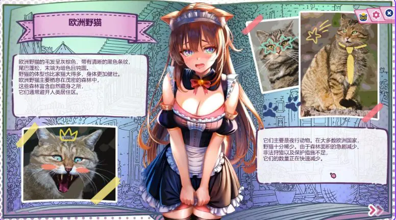 【PC/官中/日式/SLG游戏/2.70G】 猫娘百科：寻找她的小尾巴 （Nekopedia: Find Her Tail） 官中步兵版+存档+日式SLG游戏+2.70G