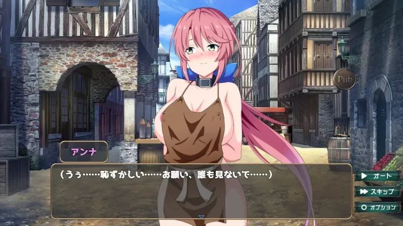 PC–骑士安娜 -奴隶调教记录- 騎士アンナ -奴隷調教記録- AI… [1+1.6G][百度盘]