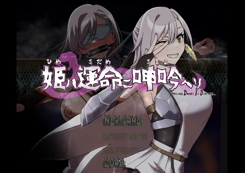 [PC-RPG] [更新]【动作ARPG/动态/汉化】公主于命运枷锁下的悲… [1+1.3G][百度盘]