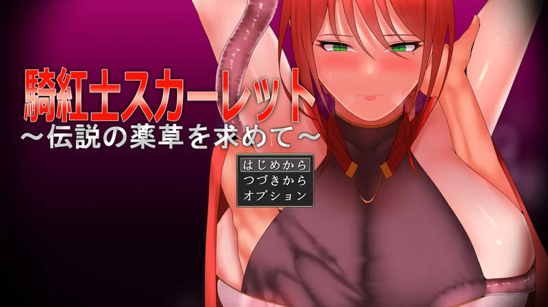 [PC-RPG] [更新]【回合RPG/阿黑颜/汉化】绯红骑士斯卡蕾特～… [1+1G][百度盘]