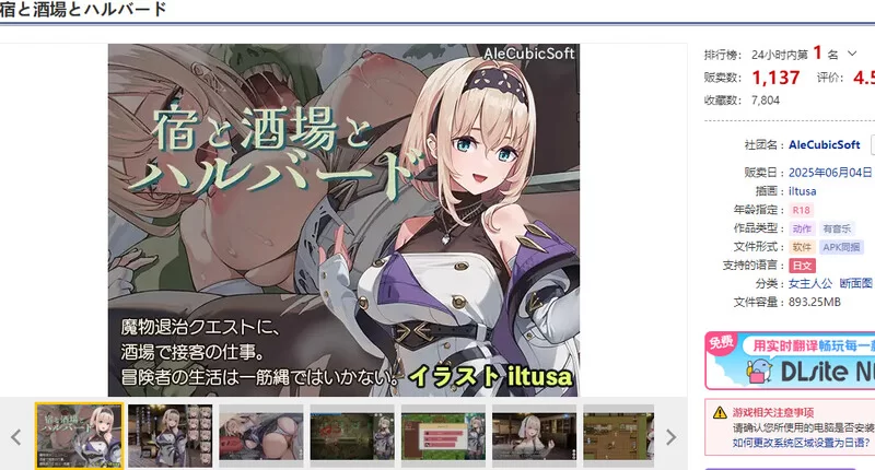 [PC+安卓ACT] 【肉鸽ACT/断画面】旅馆、酒馆与戟（宿と酒場… [1+1.2G][百度盘]