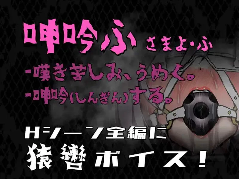 [PC-RPG] [更新]【动作ARPG/动态/汉化】公主于命运枷锁下的悲… [1+1.3G][百度盘]